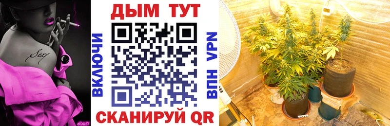 Бошки Шишки план  Купить где  Усинск 